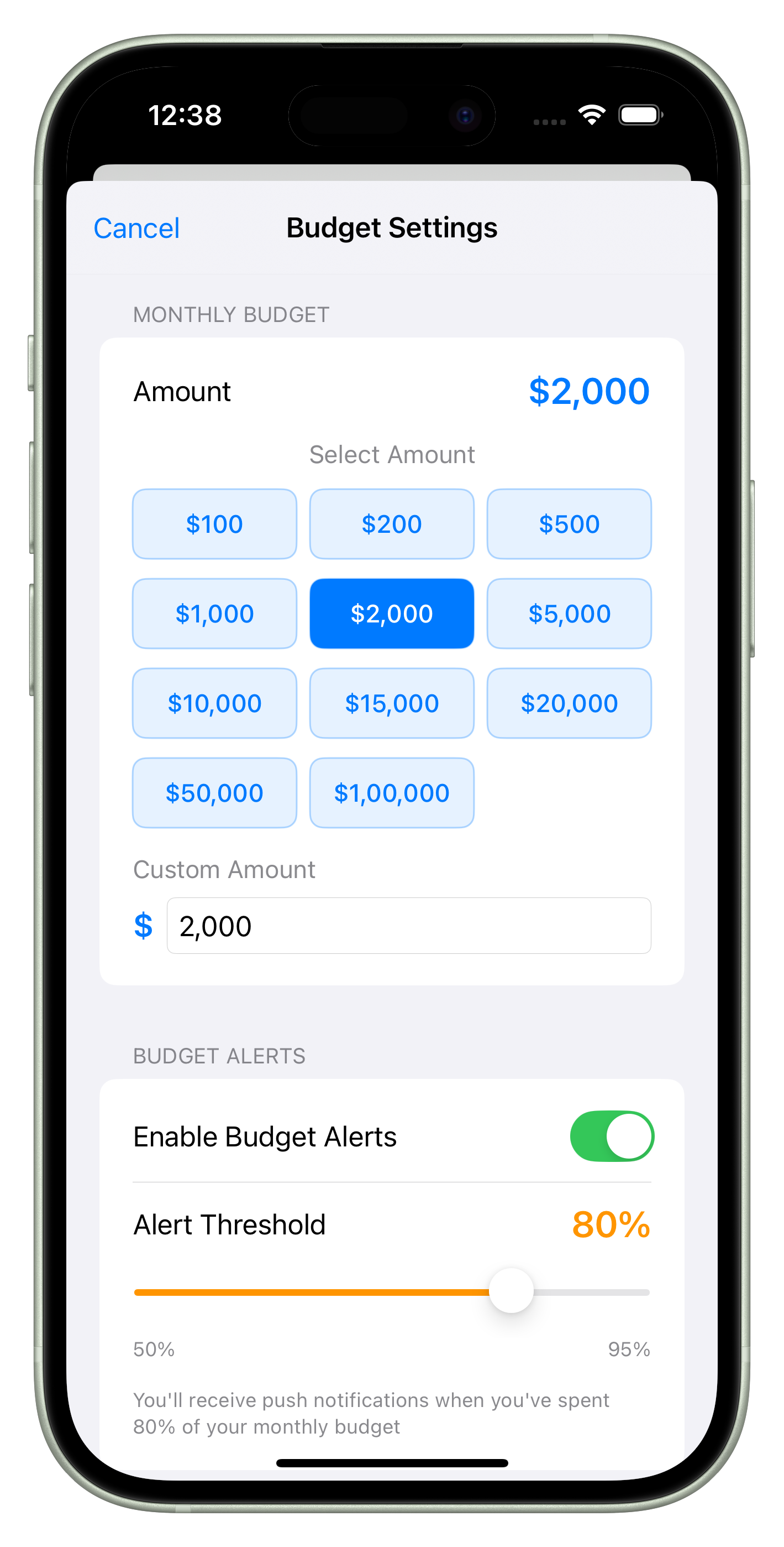 Budget Management Interface